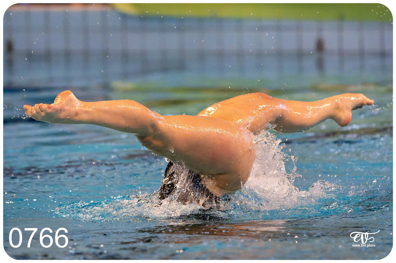 CHAMPIONNAT DE FRANCE DE NATATiON ARTISTIQUE N1 & ELITE 2026